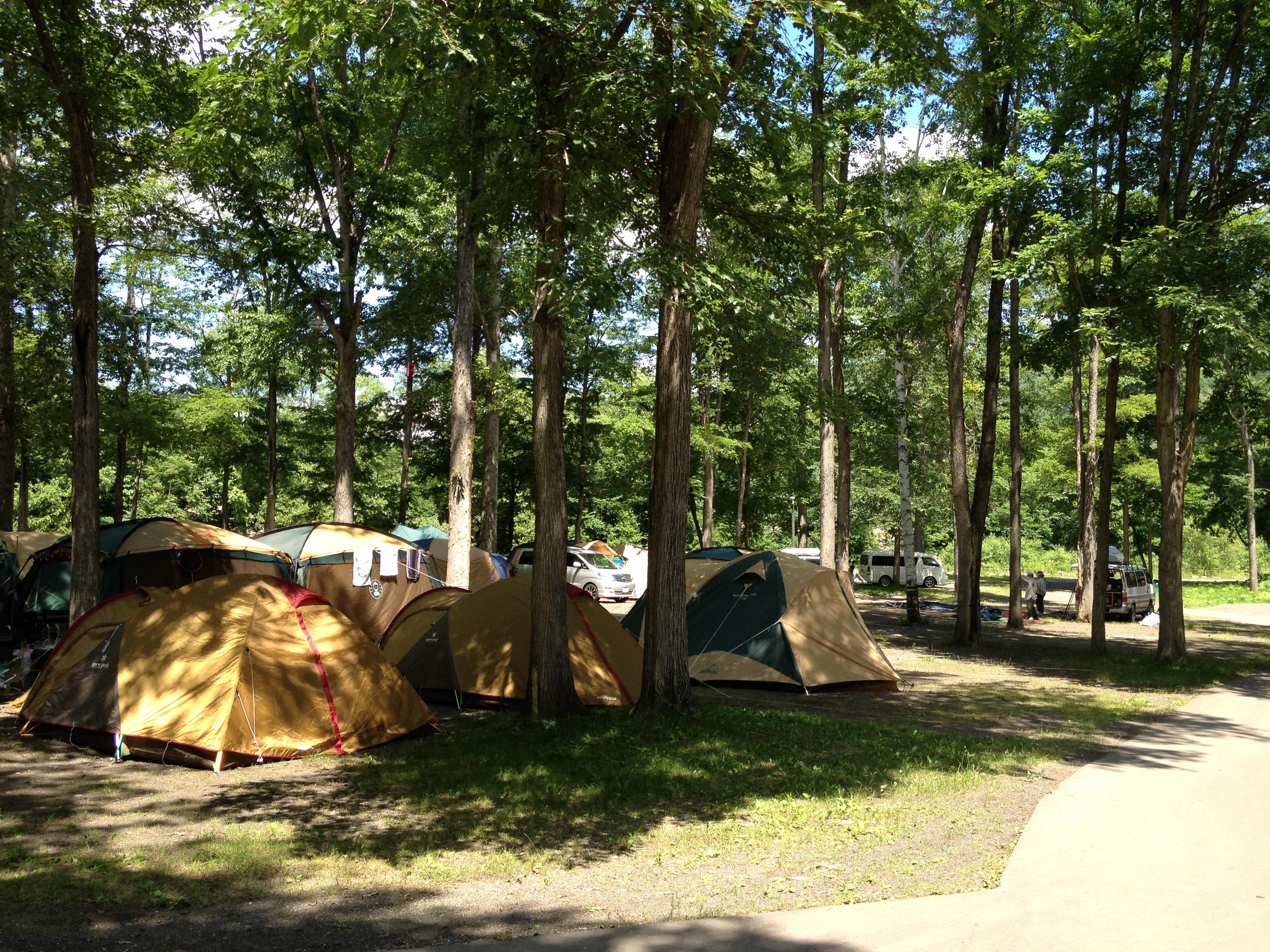 夏休みの思い出