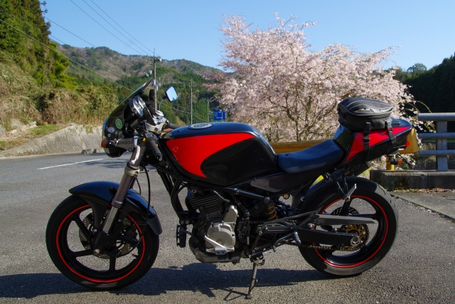 冬眠明けのバイク