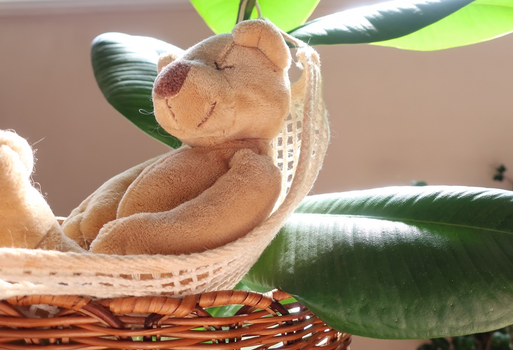 ぬいぐるみの収納方法