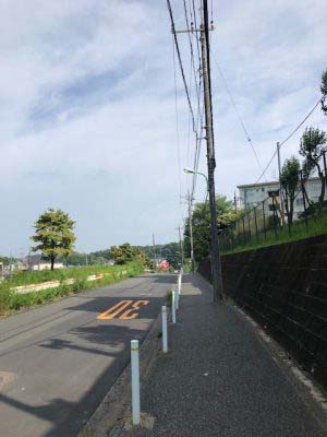 田舎道を歩く
