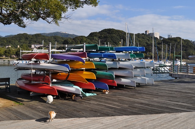 カヤック専用の保管施設・艇庫
